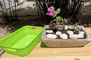 تبدیل سبد پلاستیکی ساده به گلدان سیمانی شیک؛ یک کاردستی ارزان و جذاب برای خانه و باغچه