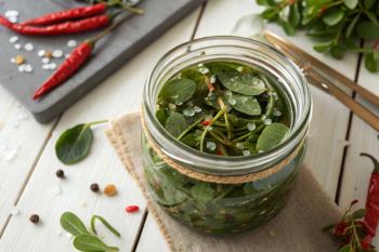 طرز تهیه ترشی خرفه؛ ترشی متفاوت و خوشمزه برای کنار غذا