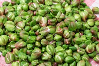 طرز تهیه خوراک گل کبر قزوین؛ غذای محلی الموت با طعمی متفاوت و خواص فراوان