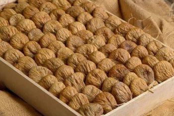 روش جالب خشک کردن انجیر در خانه؛ با این ترفند انجیرهای خوش رنگ و شیرین درست کنید!