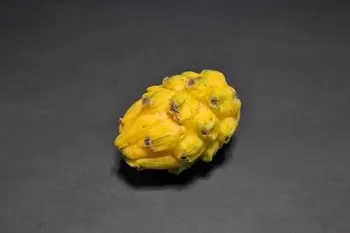 من یک کاکتوس میوه اژدها را از بذر پرورش دادم و به مدت ۲.۵ سال از آن فیلم گرفتم!