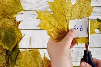 خلاقیت با برگ های پاییزی فوق العاده زیبا / دوخت یک وسیله شیک از مواد طبیعی!