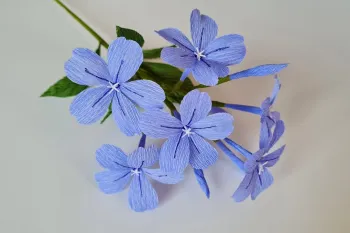 طرز تهیه گل کاغذی پلامباگو آبی / گل کاغذی!