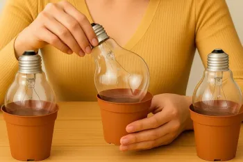 لامپ ها و گلدان های قدیمی را دور نیندازید/ 2 ایده ی درخشان، آسان و باورنکردنی!