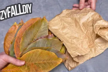 من برگ های خشک و یک کیسه کاغذی را برداشتم و چیزی فوق العاده درست کردم! (کاردستی پاییزی)
