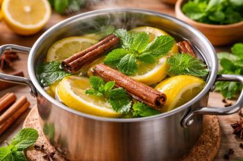 خوشبوکننده لیمو و نعناع؛ عطر تازه و طبیعی برای آشپزخانه