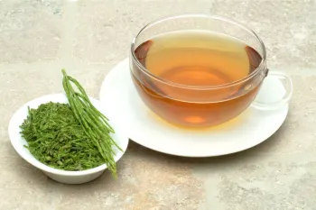 دمنوش دم اسبی برای چی خوبه؛ ۷ فایده چای دم اسب!