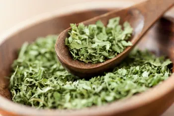 چگونه کسب و کار خانگی سبزی خشک کنی راه اندازی کنیم؟!