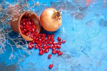معنی شب یلدا چیست؟ مفهوم خوراکی ها و فلسفه ی شب یلدا!