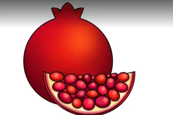 آموزش نقاشی انار برای کودکان و مبتدیان !