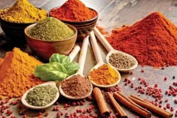 طرز تهیه 8 مدل ادویه مرغ، از مرغ کنتاکی تا جوجه کباب !