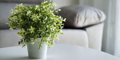 گل طبیعی یا مصنوعی؟