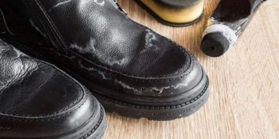 آموزش از بین بردن