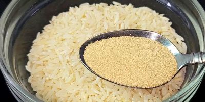 مخمر + برنج ؛ دستور