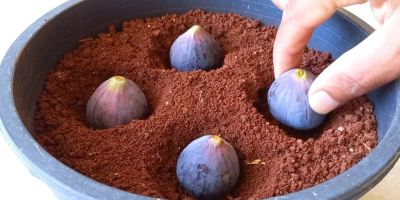 آموزش قدم به قدم