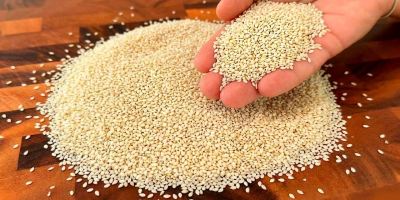 طرز تهیه شیر کنجد