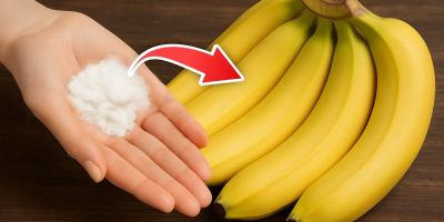 بهترین روش نگهداری