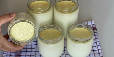 طرز تهیه ماست خانگی