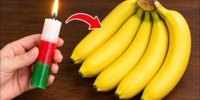 بهترین روش نگهداری