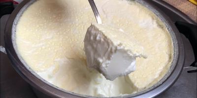 طرز تهیه ماست پرچرب