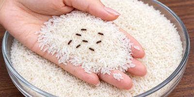 روش طبیعی برای از