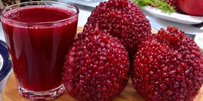 روش های اصولی