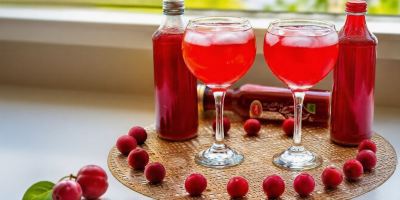 طرز تهیه شربت آلوچه