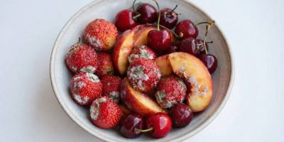 چرا میوه ها خراب می