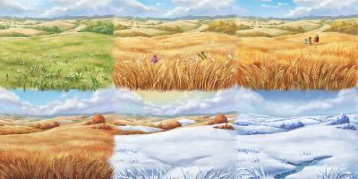 شعر گندم زار از