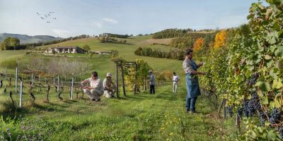 بهترین زمان هرس