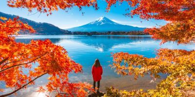 راهکارهای طلایی