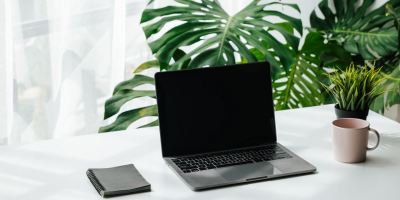 گیاه مناسب برای میز