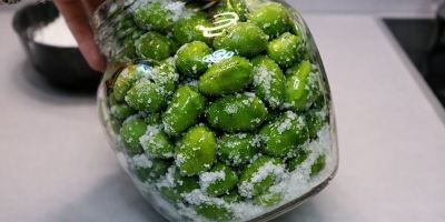 چگونه تلخی زیتون را