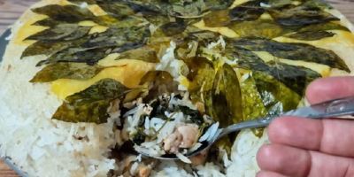 غذای جدید با مرغ و
