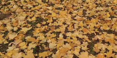دانلود آهنگ های