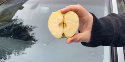ترفند جالب سیب برای