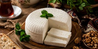 طرز تهیه پنیر خانگی