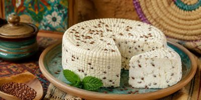 طرز تهیه پنیر خانگی