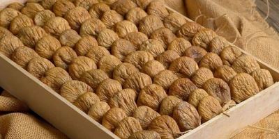 روش جالب خشک کردن