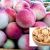 برگه شفتالو؛ گنجینه ای از خواص بی نظیر برای سلامت بدن
