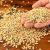 طرز تهیه دو معجون خانگی برای تقویت قلب و استخوان