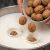 طرز تهیه پنیر گردویی بدون نیاز به مایه پنیر در ۳ ساعت