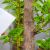 سم خانگی برای گیاهان با سرکه؛ طرز تهیه محلول ضد شته و آفات