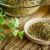 همه چیز درباره ادویه اورگانو؛ پودر اورگانو در چه غذاهایی استفاده می شود؟